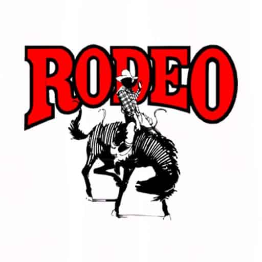 Rodeo Tickets & VIP Packages PBR, NFR