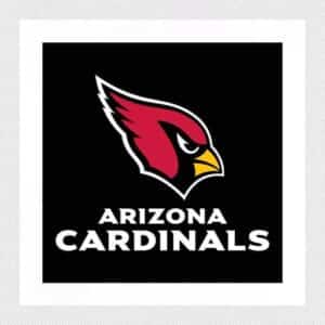 2024 Arizona Cardinals Season Tickets (Includes Tickets To All Regular Season Home Games)