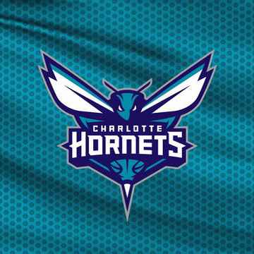 Atlanta Hawks vs. Charlotte Hornets
