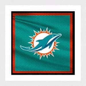 2024 Miami Dolphins Season Tickets (Includes Tickets To All Regular Season Home Games)