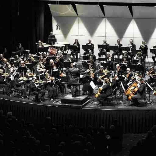 Bellingham Symphony Orchestra: Smitten