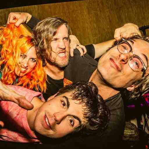 Frankie and The Witch Fingers