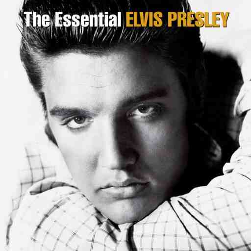 The Wonder of Elvis